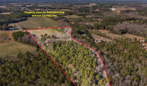 Photo #16 of 7557 Highway 19, Loris, SC 59.9 acres