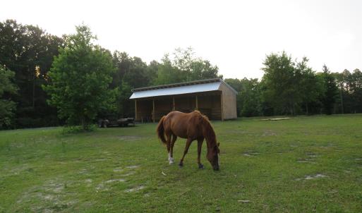 Photo #4 of 4013 Thomas Rd., Little River, SC 8.6 acres