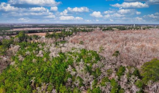 Photo #3 of TBD Mishoe Rd., Conway, SC 9.5 acres