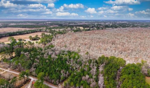 Photo #5 of TBD Mishoe Rd., Conway, SC 9.5 acres