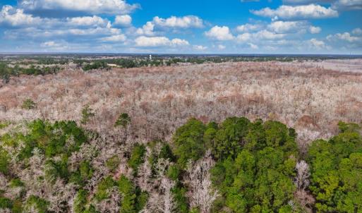 Photo #2 of TBD Mishoe Rd., Conway, SC 9.5 acres