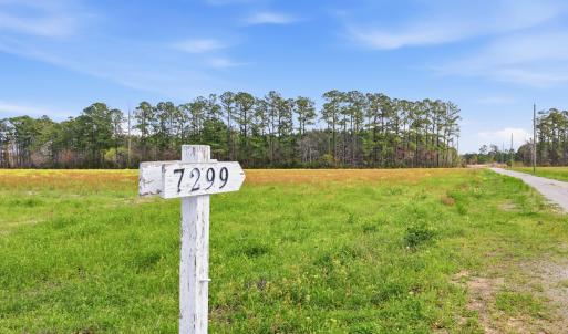 Photo #2 of 7299 Cartrette Rd., Aynor, SC 81.3 acres