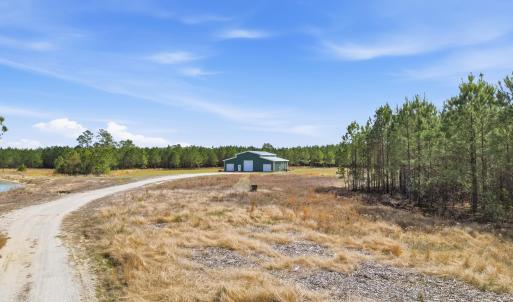 Photo #3 of 7299 Cartrette Rd., Aynor, SC 81.3 acres