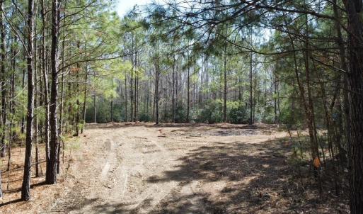 Photo #10 of TBD Green Sea Rd., Green Sea, SC 16.4 acres