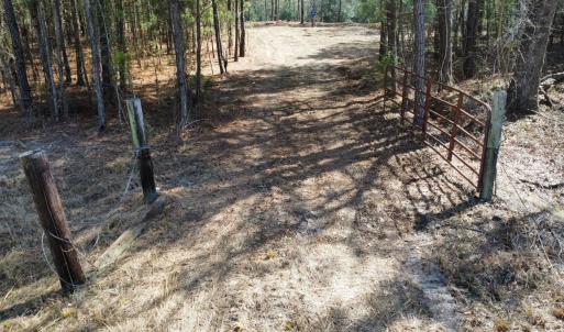 Photo #5 of TBD Green Sea Rd., Green Sea, SC 16.4 acres
