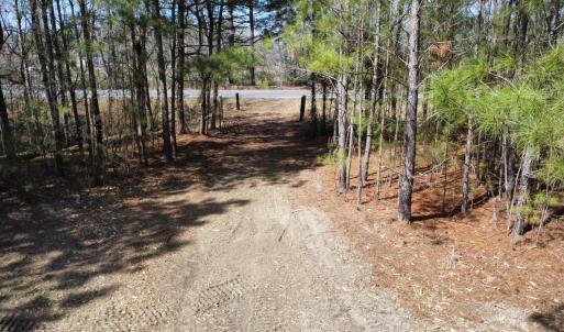 Photo #4 of TBD Green Sea Rd., Green Sea, SC 16.4 acres