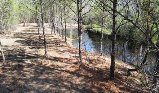 Photo #8 of TBD Green Sea Rd., Green Sea, SC 16.4 acres