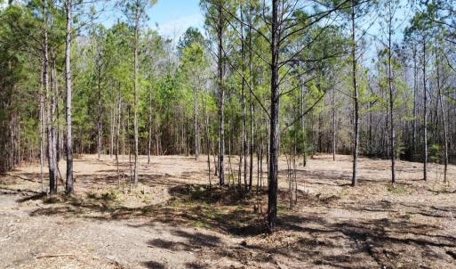 Photo #7 of TBD Green Sea Rd., Green Sea, SC 16.4 acres