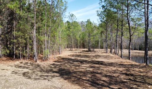 Photo #6 of TBD Green Sea Rd., Green Sea, SC 16.4 acres