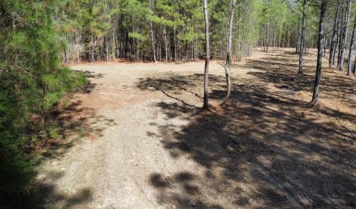 Photo #9 of TBD Green Sea Rd., Green Sea, SC 16.4 acres