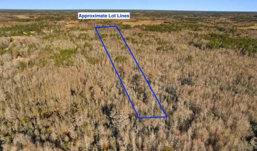 Photo #13 of TBD Green Sea Rd., Green Sea, SC 16.4 acres