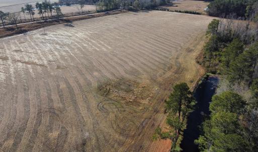 Photo #4 of tbd Black Creek Rd., Nichols, SC 72.5 acres