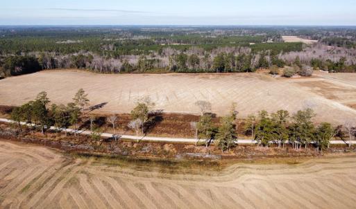 Photo #3 of tbd Black Creek Rd., Nichols, SC 72.5 acres