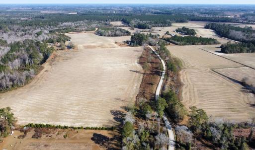 Photo #1 of tbd Black Creek Rd., Nichols, SC 72.5 acres