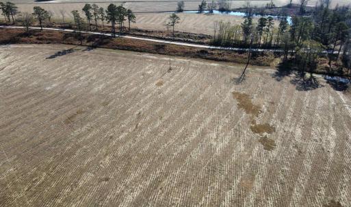 Photo #7 of tbd Black Creek Rd., Nichols, SC 72.5 acres