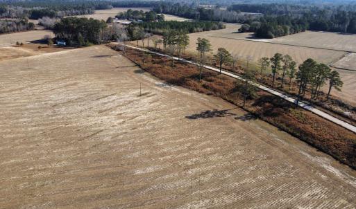 Photo #11 of tbd Black Creek Rd., Nichols, SC 72.5 acres