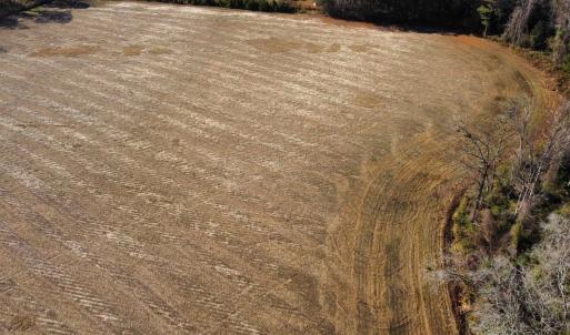 Photo #5 of tbd Black Creek Rd., Nichols, SC 69.8 acres