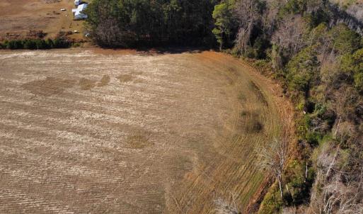 Photo #6 of tbd Black Creek Rd., Nichols, SC 69.8 acres