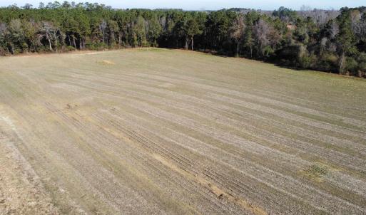 Photo #12 of TBD Highway 917, Nichols, SC 20.9 acres