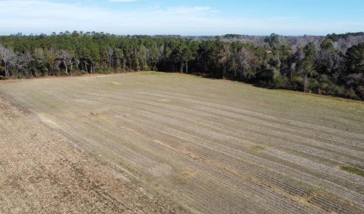 Photo #4 of TBD Highway 917, Nichols, SC 20.9 acres