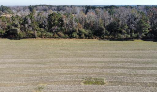 Photo #11 of TBD Highway 917, Nichols, SC 20.9 acres