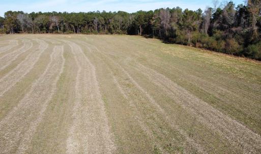 Photo #22 of TBD Highway 917, Nichols, SC 20.9 acres