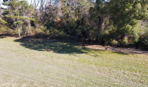 Photo #23 of TBD Highway 917, Nichols, SC 20.9 acres