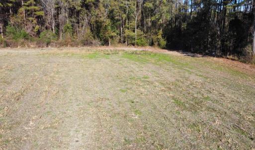 Photo #20 of TBD Highway 917, Nichols, SC 20.9 acres