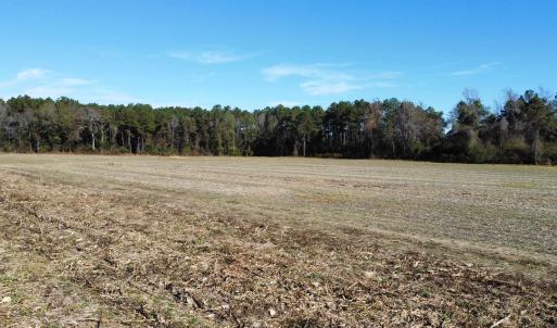 Photo #14 of TBD Highway 917, Nichols, SC 20.9 acres