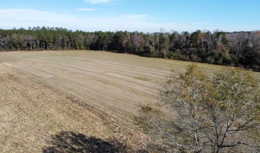 Photo #5 of TBD Highway 917, Nichols, SC 20.9 acres