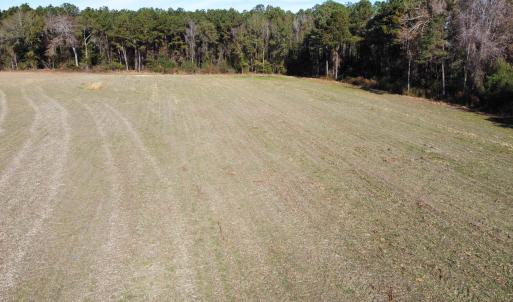 Photo #21 of TBD Highway 917, Nichols, SC 20.9 acres