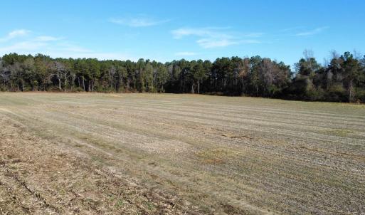 Photo #13 of TBD Highway 917, Nichols, SC 20.9 acres