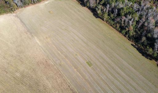 Photo #8 of TBD Highway 917, Nichols, SC 20.9 acres