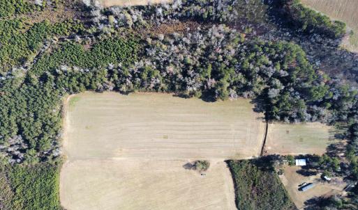 Photo #9 of TBD Highway 917, Nichols, SC 20.9 acres