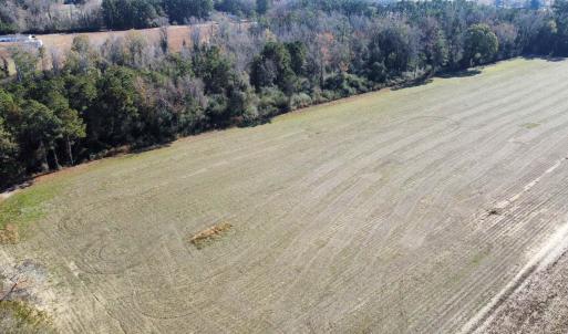 Photo #2 of TBD Highway 917, Nichols, SC 21.4 acres