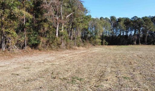 Photo #7 of TBD Highway 917, Nichols, SC 21.4 acres
