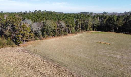 Photo #3 of TBD Highway 917, Nichols, SC 21.4 acres
