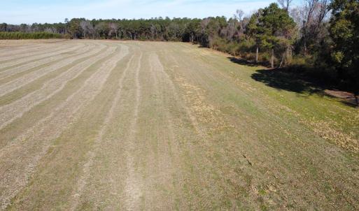 Photo #8 of TBD Highway 917, Nichols, SC 21.4 acres