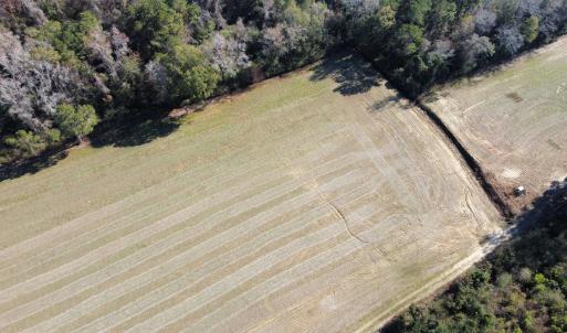 Photo #5 of TBD Highway 917, Nichols, SC 21.4 acres