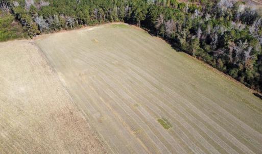 Photo #4 of TBD Highway 917, Nichols, SC 21.4 acres