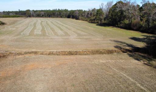 Photo #9 of TBD Highway 917, Nichols, SC 21.4 acres