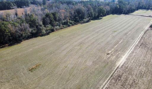 Photo #1 of TBD Highway 917, Nichols, SC 21.4 acres