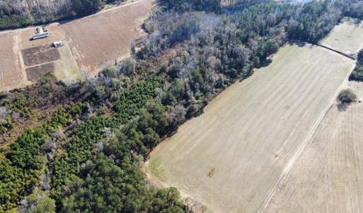 Photo #13 of TBD Highway 917, Nichols, SC 21.4 acres