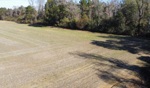 Photo #11 of TBD Highway 917, Nichols, SC 21.4 acres