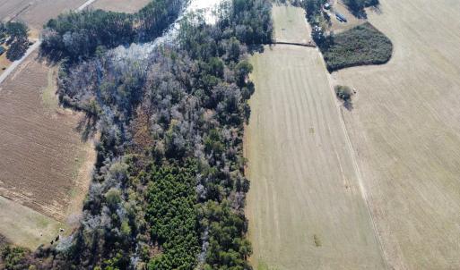 Photo #12 of TBD Highway 917, Nichols, SC 21.4 acres