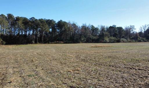 Photo #6 of TBD Highway 917, Nichols, SC 21.4 acres