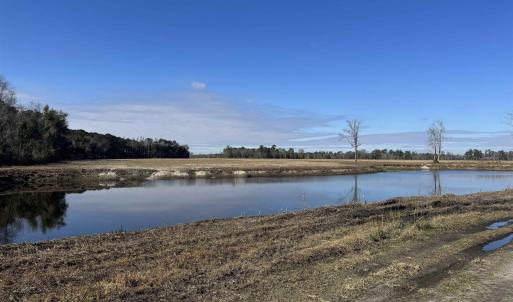 Photo #25 of TBD Beth Dr., Nichols, SC 46.9 acres