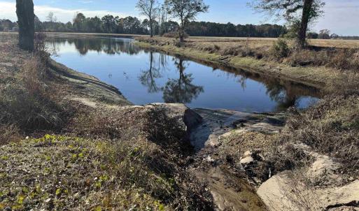 Photo #26 of TBD Beth Dr., Nichols, SC 46.9 acres