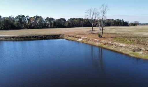 Photo #28 of TBD Beth Dr., Nichols, SC 46.9 acres