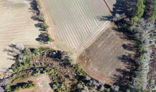 Photo #14 of TBD Beth Dr., Nichols, SC 46.9 acres